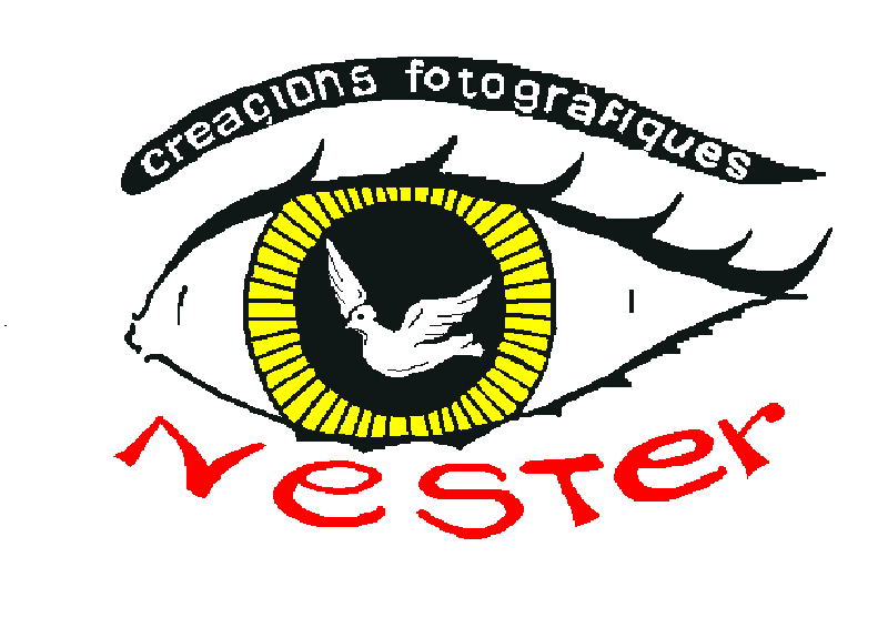 cfnester